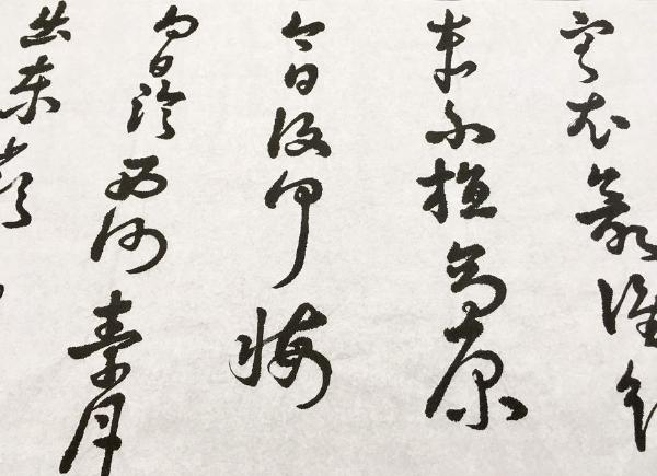 Grass Script & Others